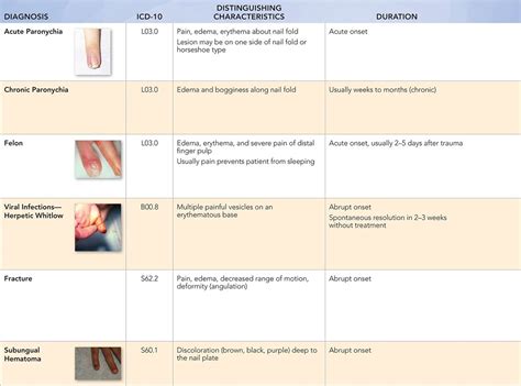 Right index finger cellulitis icd 10  602 Cellulitis with mcc; 603 Cellulitis without mcc; 795 Normal newborn; Convert L08